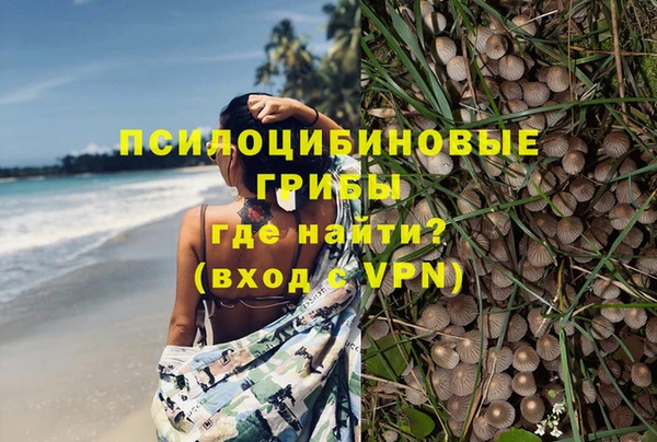 бошки Алексин