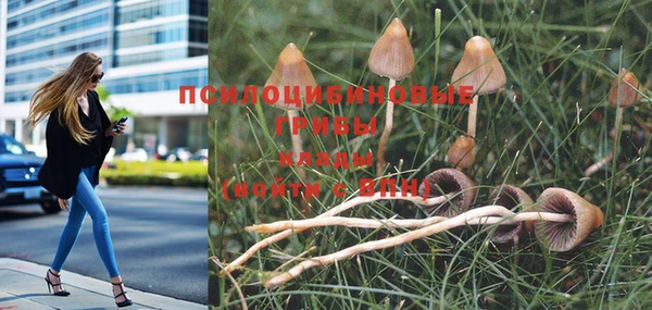 дмт Абинск